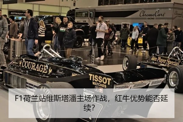 he-lan-zhan-wei-si-ta-pan-zhu-chang-zuo-zhan-hong-niu-you-shi-neng-fou-yan-xu-3-674.jpg