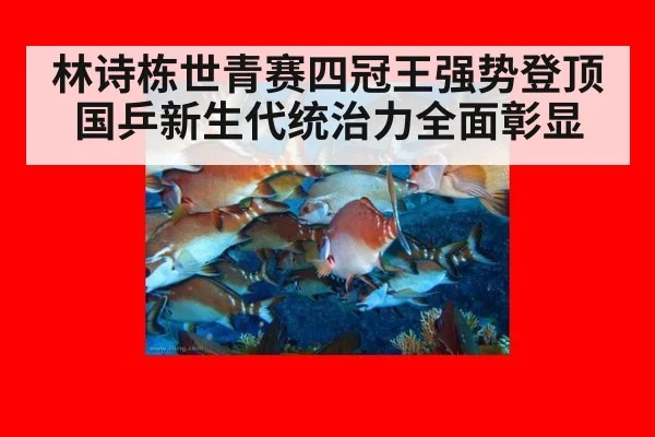 林诗栋世青赛四冠王强势登顶国乒新生代统治力全面彰显